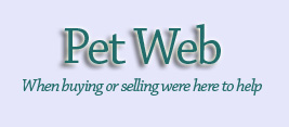 Petweb - pets for sale, dogs for sale, puppies for sale, cats for sale, kittens for sale